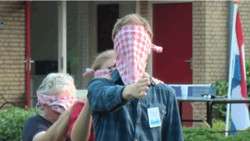 2015-bram-rij.gif