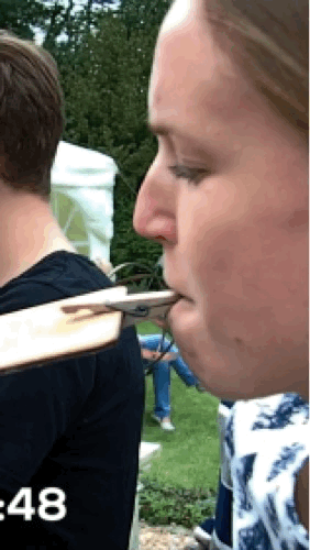 2016-lieke-1.gif