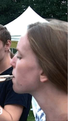 2016-lieke-2.gif
