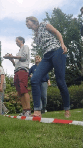 2016-lieke-hupje.gif