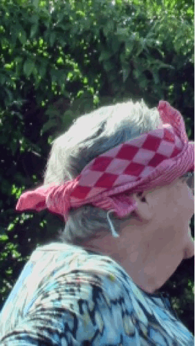 2017-camera-oma.gif