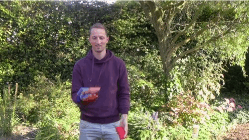 2017-stijn-jongleren-2.gif