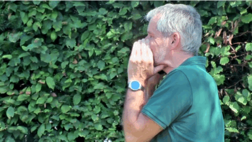 2019-rob-roepen.gif