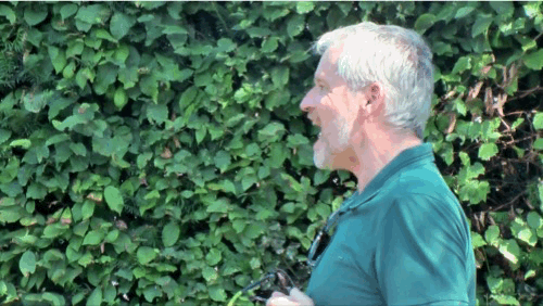 2019-rob-schreeuwen-2.gif